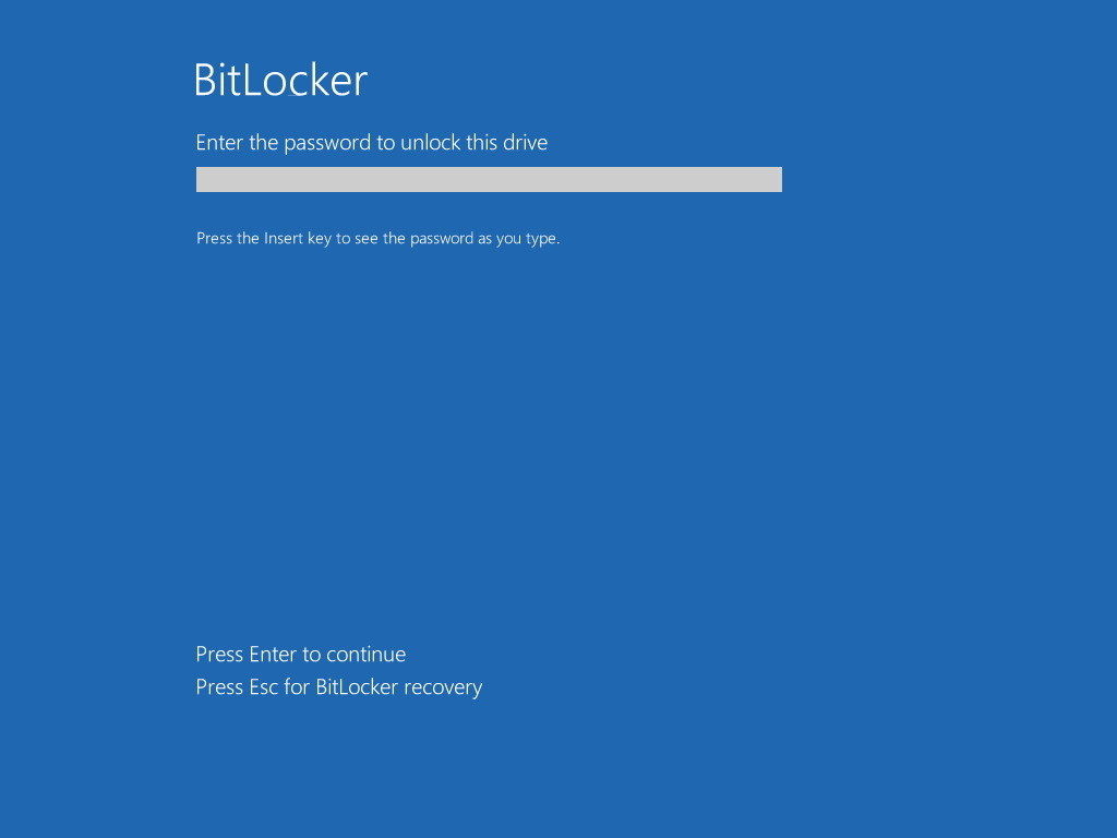 bitlocker password startup