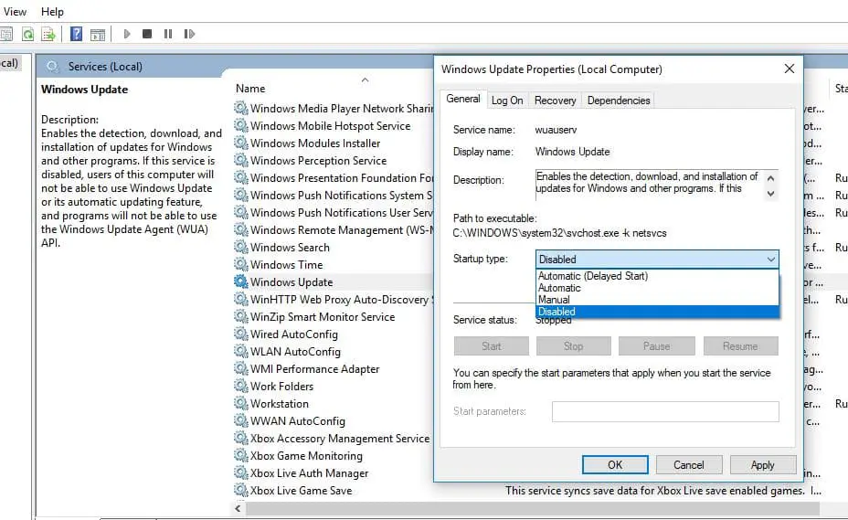 disable windows update service