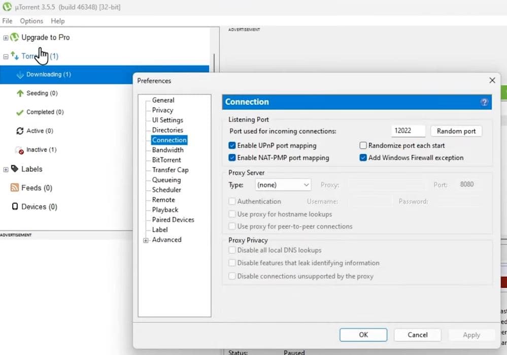 Enable UPnP Port Mapping