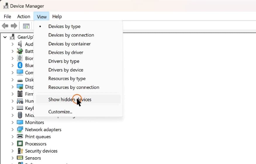 show hidden devices windows 11