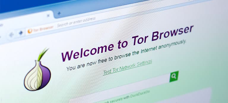 tor browser