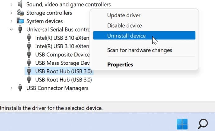 Uninstall USB Root HUB