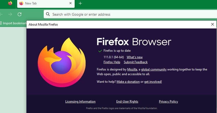 Update Firefox