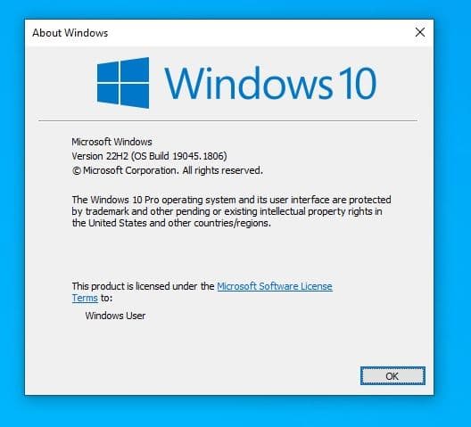 windows 10 22H2 winver