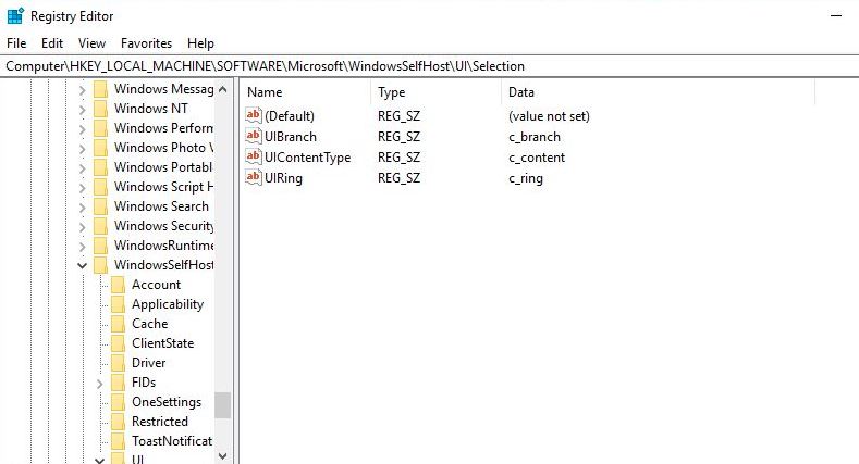 Windows 10 skip ahead registry tweak