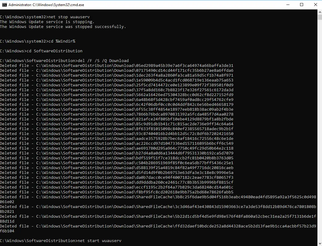 command line to Delete Windows update cache